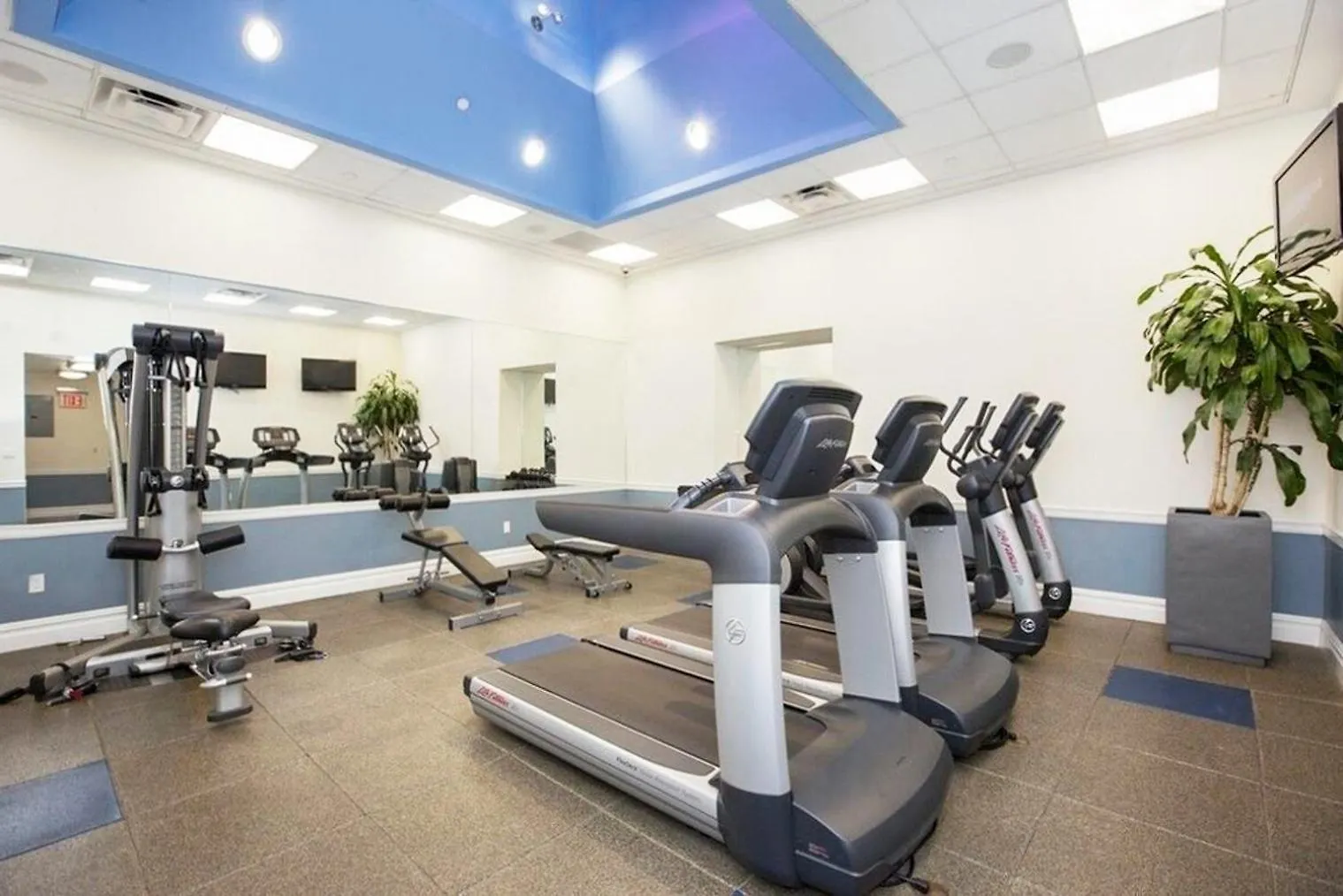公寓 纽约Midtown 1Br W Doorman Nr Penn Station Nyc-144公寓